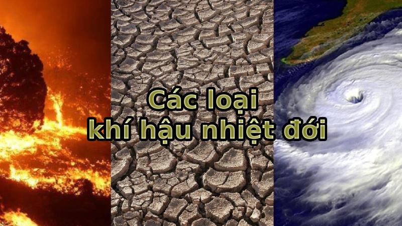 Các loại khí hậu nhiệt đới