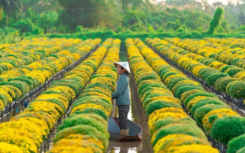 Giới thiệu chung về Đồng Tháp