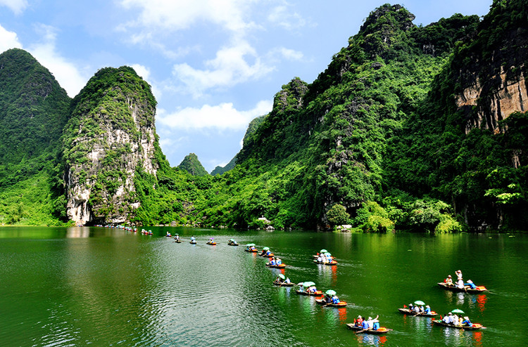 Hệ sinh thái nhiệt đới phong phú