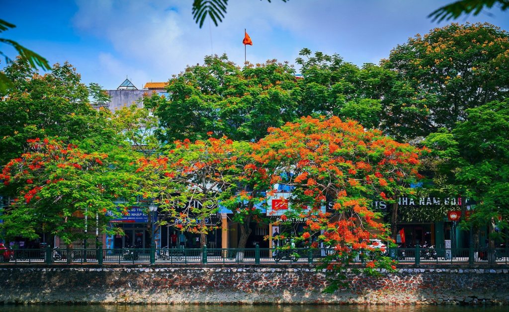 Mùa hè Hải Phòng