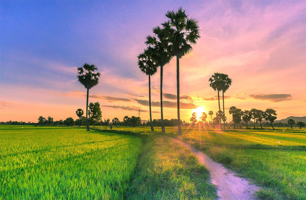 Khí hậu và phân hóa mùa của An Giang