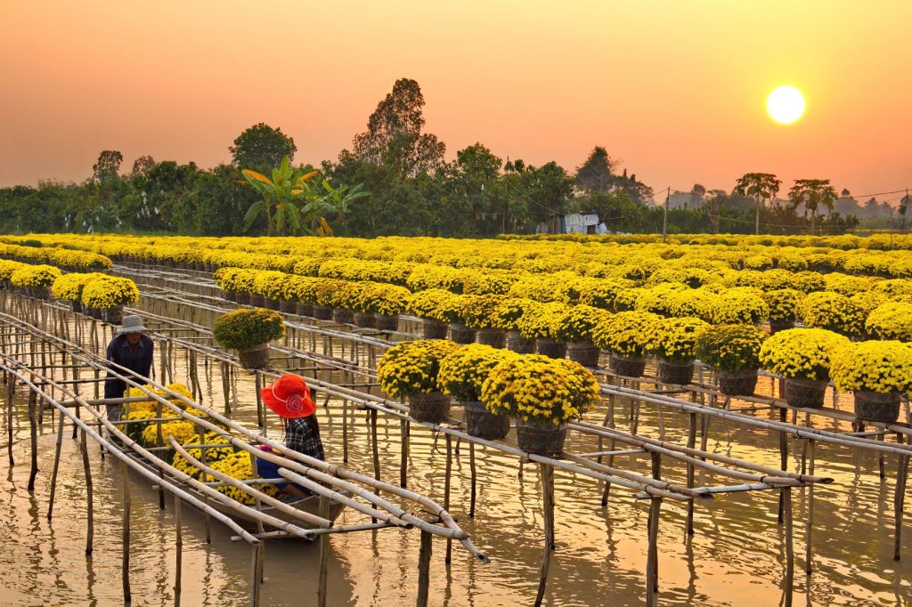 Khí hậu và thời tiết Đồng Tháp