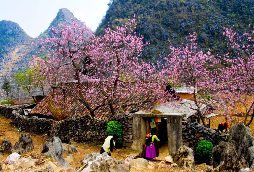 Thời tiết Hà Giang mùa xuân