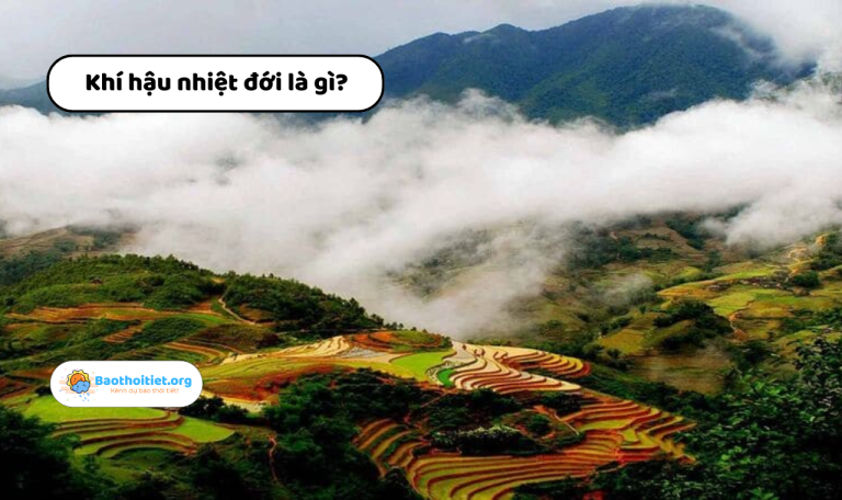 Khí hậu nhiệt đới là gì? Hiểu rõ đặc trưng và phân loại khí hậu nóng bỏng của Trái Đất