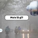 Mưa là gì? Tìm hiểu những điều bạn chưa biết về mưa