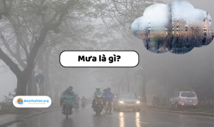 Mưa là gì? Tìm hiểu những điều bạn chưa biết về mưa
