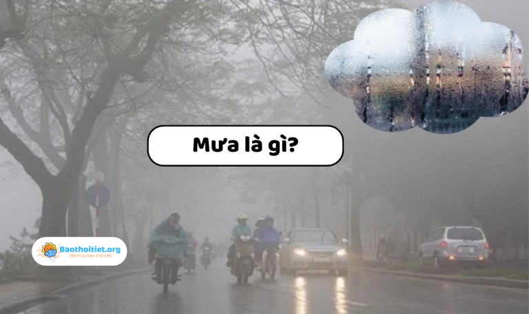Mưa là gì? Tìm hiểu những điều bạn chưa biết về mưa